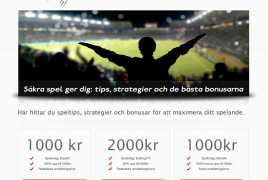 sakraspel.se